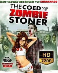 校内僵尸联谊会