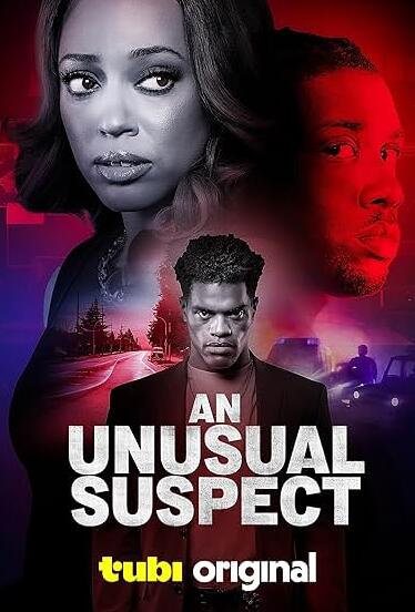 一个不寻常的嫌疑人